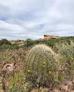 Superstition Wilderness 4/9/19