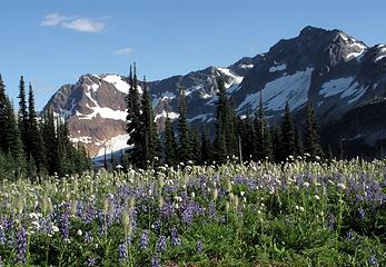 Flowers and views from Cloudy Pass