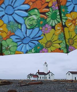 We needed umbrellas most of the day