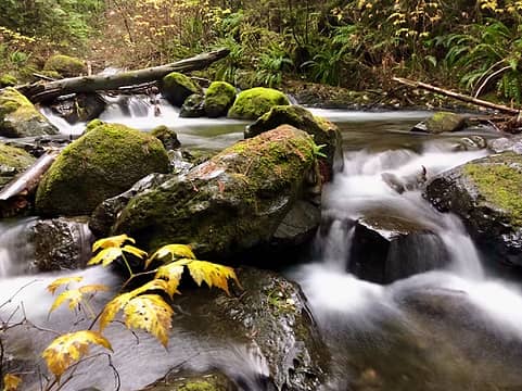 The South Fork Wallace in November