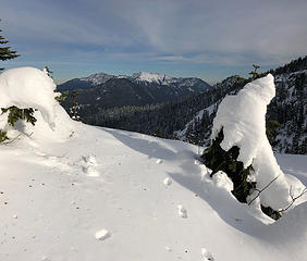 Animal tracks on the trail to Mt. McCausland 11/12/18