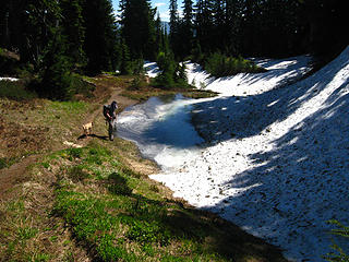 scummy meltwater pool