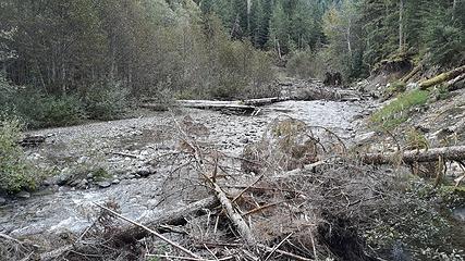 Wanlick Creek on South Fork Nooksack on PNT