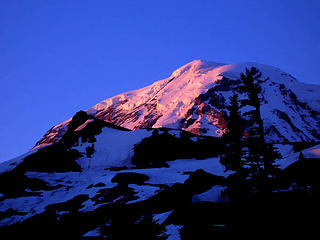 climbed observation rock which is the peak just in front of Rainier. this was taken at 6 am while haveing coffe in camp
