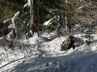 Mt Si old trail junction heading down.