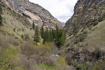 View along the Rapid River Trail, Seven Devils Mountains, Idaho.