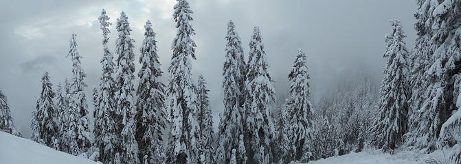 Snowy pano