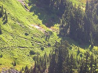 A view from the YAB trail towards trail intersection - across the valley