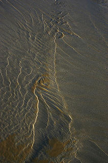 Moclips_sand ripples and sunglint1