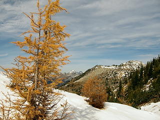 Looking north toward Mt. Maude