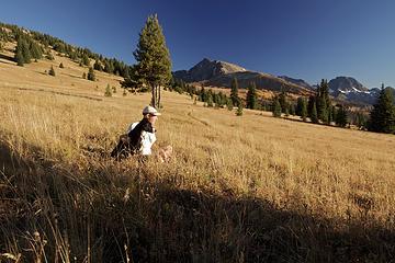 Tatoosh meadows, Ptarmigan Peak & Mt. Lago in distance