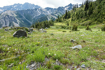 fricaba basin