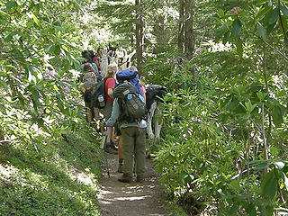 Girl Scouts and Llamas heading up Tubal Cain trail.