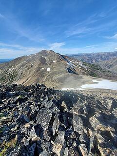 Ptarmigan from Dot