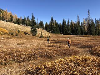 Broad meadow below Finney Lakes