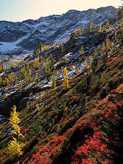 Beautiful meadows