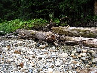 cairn on logs