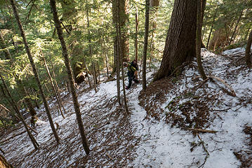 Some sections have been flagged and then used often enough to form a faint trail