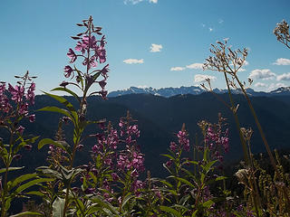 On teh way to White Pass