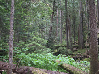 Valley Of The Silent Men