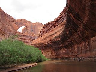 Wading the Escalante