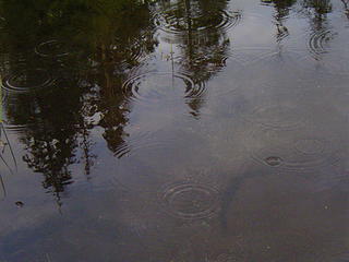 Raindrops on Barclay Lake