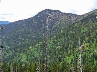 Shedroof Mtn.