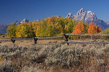 Grand Teton