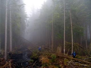 Old RR grade to Echo Lake