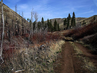 One of the drainages through the Wooten Wildlife Area, off the Tucannon River, Grant County, Washington