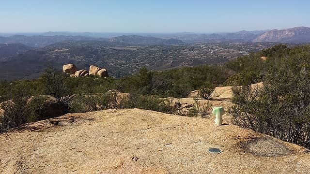 Froggy enjoying the view