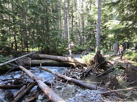 Crossing Fisher Creek On Big Log