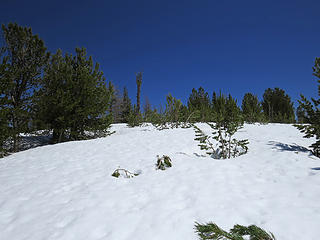 Angling up to the high point which I had as 7549' but I didn't take a measurement from the summit which was a saturated rock pile of lady bugs.