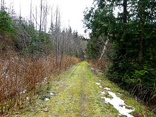 Mailbox road past the TH. The road is clear for quite a while