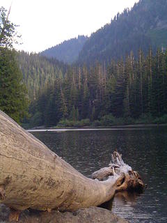 Looking down a large log and across the lake.