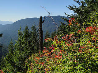 Fall colors on Shriner Peak trail.