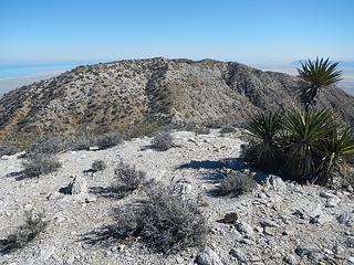 the ridge to Rosa Point