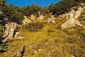 Head for the rocks in upper center