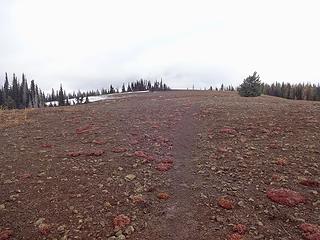 At 6250' below Diamond Peak.