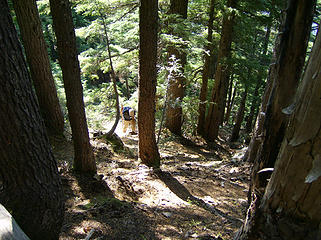 Coming up the 2nd steep forested section