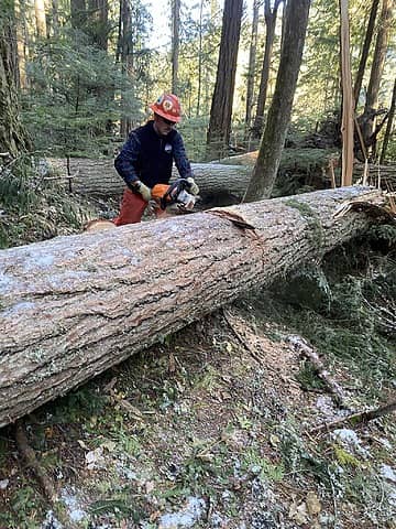Cutting a notch in a log with top bind (Emily Snyder photo)