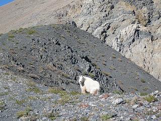 Near Castle Peak, Idaho