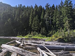 Lower Falls Lake logjam