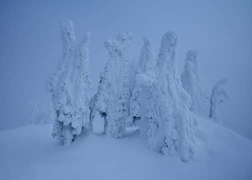 January: Snow ghosts on Big Mountain