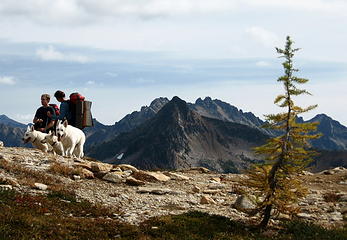 Opus and the Bad Dogs  at  Cutthroat Pass