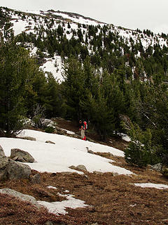 Steve working the ridge, eventually with tree cover we had to posthole a bit to get there. The snow was of highly variable consolidation.