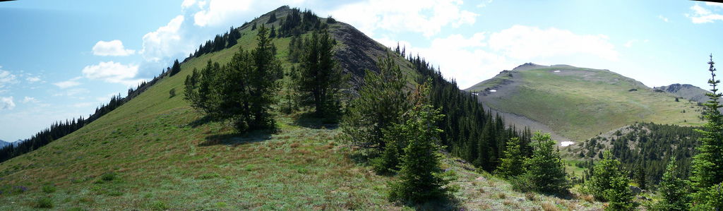 Panorama Point 6537 and Baldy