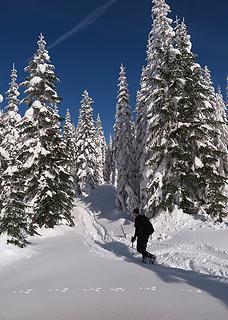 Following tracks upward