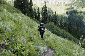 Dicey on the sheep trail