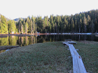 Beaver Plant